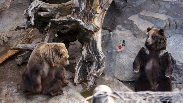 新年广州珠海长隆游记,广州珠海长隆澳门自由行攻略