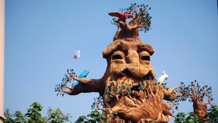 新年广州珠海长隆游记,广州珠海长隆澳门自由行攻略