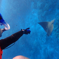 马尔代夫神仙珊瑚岛攻略,马尔代夫神仙珊瑚岛视频