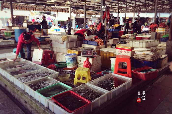 新年广州珠海长隆游记,广州珠海长隆澳门自由行攻略