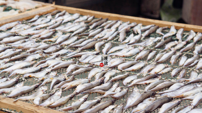 新年广州珠海长隆游记,广州珠海长隆澳门自由行攻略