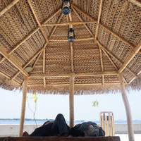 马尔代夫神仙珊瑚岛攻略,马尔代夫神仙珊瑚岛视频