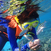 马尔代夫神仙珊瑚岛攻略,马尔代夫神仙珊瑚岛视频