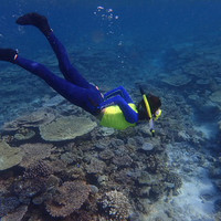 马尔代夫神仙珊瑚岛攻略,马尔代夫神仙珊瑚岛视频