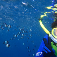 马尔代夫神仙珊瑚岛攻略,马尔代夫神仙珊瑚岛视频