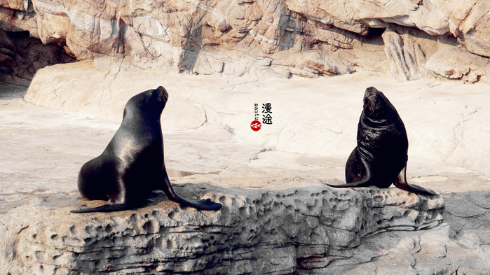 新年广州珠海长隆游记,广州珠海长隆澳门自由行攻略