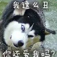 所有的网贷平台名字,各大网贷名字