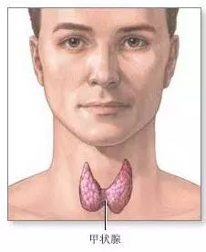 华西甲状腺癌最厉害的四个专家,华西医生癌症