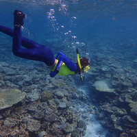 马尔代夫神仙珊瑚岛攻略,马尔代夫神仙珊瑚岛视频