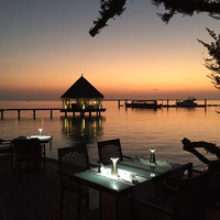 马尔代夫神仙珊瑚岛攻略,马尔代夫神仙珊瑚岛视频