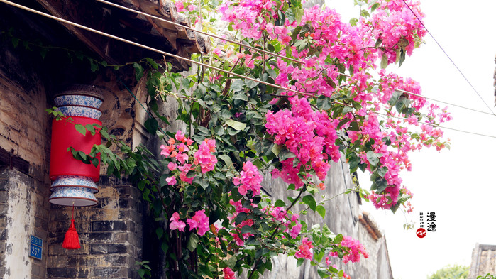 新年广州珠海长隆游记,广州珠海长隆澳门自由行攻略