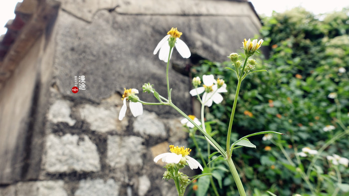 新年广州珠海长隆游记,广州珠海长隆澳门自由行攻略