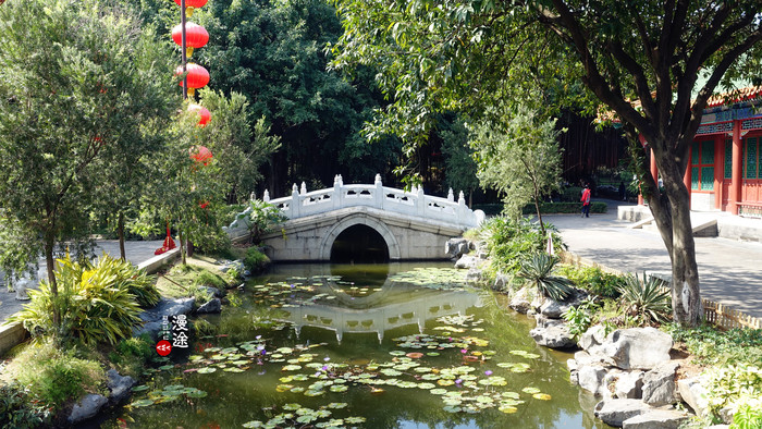 新年广州珠海长隆游记,广州珠海长隆澳门自由行攻略