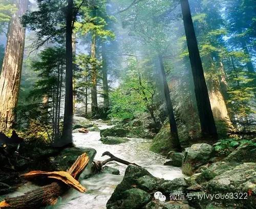 洛阳老君山旅游攻略最详细,洛阳旅游必去景点大全排名榜