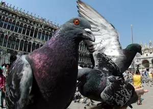 最近深圳市有哪些新闻,深圳今日新闻热点