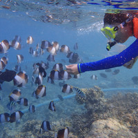 马尔代夫神仙珊瑚岛攻略,马尔代夫神仙珊瑚岛视频