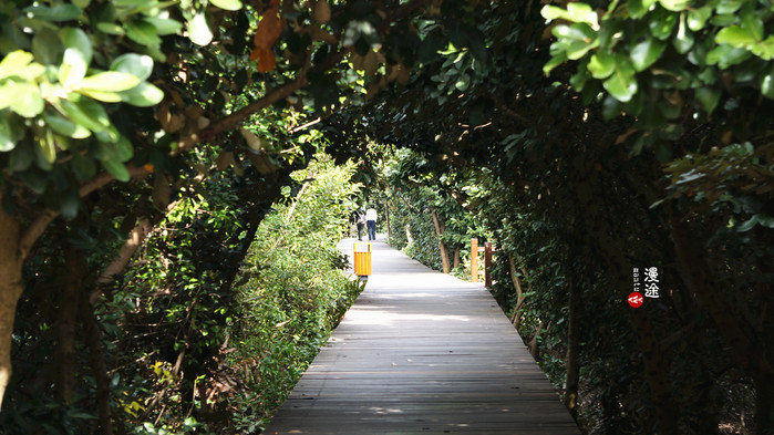 新年广州珠海长隆游记,广州珠海长隆澳门自由行攻略