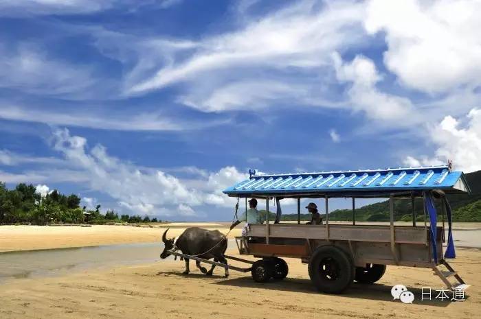 千万不要去的岛,去冲绳的7大理由看完立刻想出发