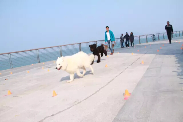 鏉ヨ繖閲屾劅鍙楃儫鐏皵鍜屽褰╀笉澶滃煄,鏉ヨ繖閲屼綋楠屼笘澶栨婧愮殑鎰熻