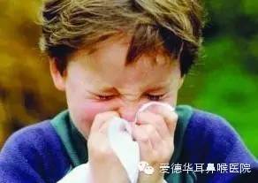 春夏之交谨防过敏性鼻炎