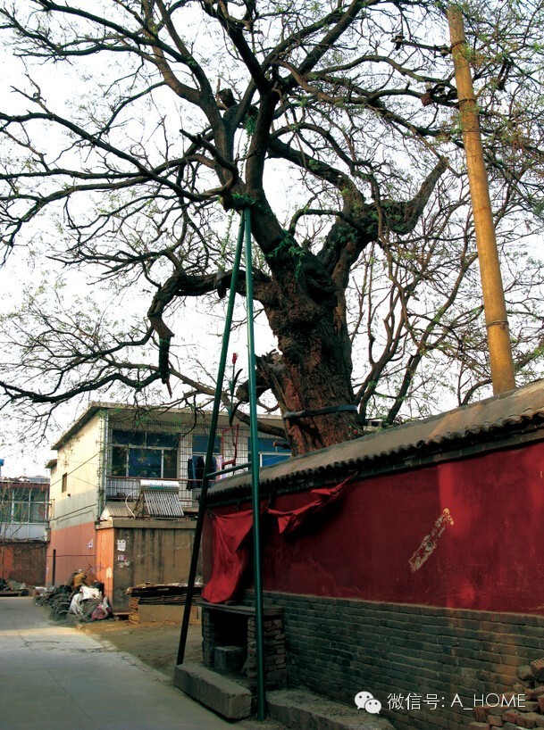石家庄振头关帝庙至今多少年了,邑城关帝庙
