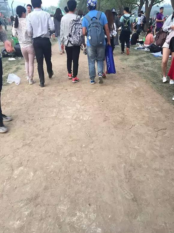 北京草莓音乐节冬天里的一把火,北京草莓音乐节好玩吗