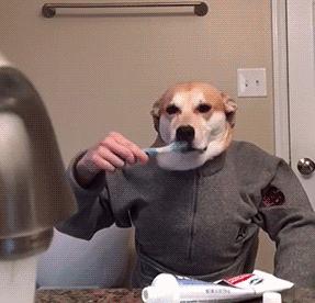 男子高速隧道提神,高速犯困夫妻在隧道提神