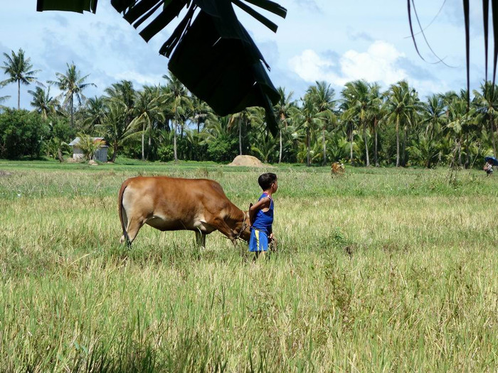 长滩之旅分享篇,长滩旅游行程