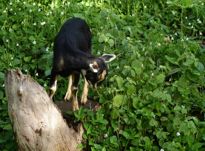 长滩之旅分享篇,长滩旅游行程