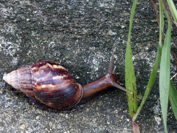 长滩之旅分享篇,长滩旅游行程