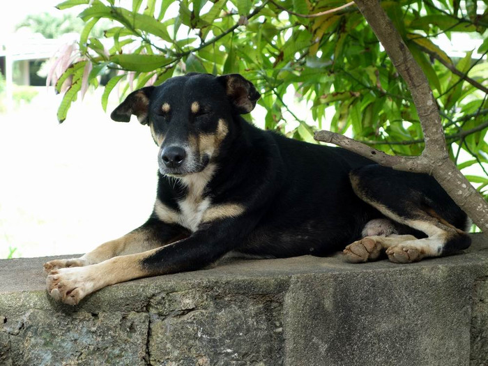 长滩之旅分享篇,长滩旅游行程