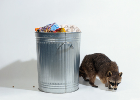 餐厅垃圾桶选购,智能感应垃圾桶选购