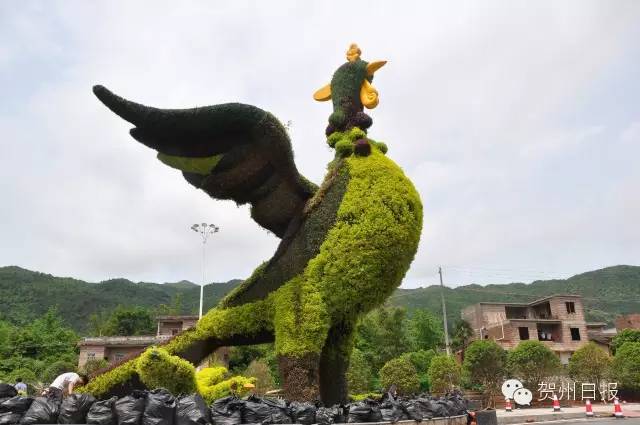 腾飞的昭平！中国最美骑行县，即将诞生！