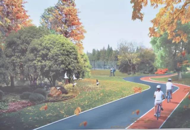 腾飞的昭平！中国最美骑行县，即将诞生！