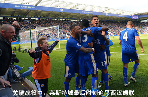 野百合也会有春天翻唱,野百合也有春天结局