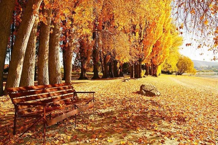 名家经典美文 (平平淡淡才是真感悟人生美文)