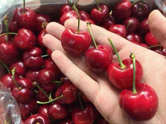 代购日子不好过了！新西兰批发商将在中国开超百家直销店，可以在家门口买纯正NZ特产啦。