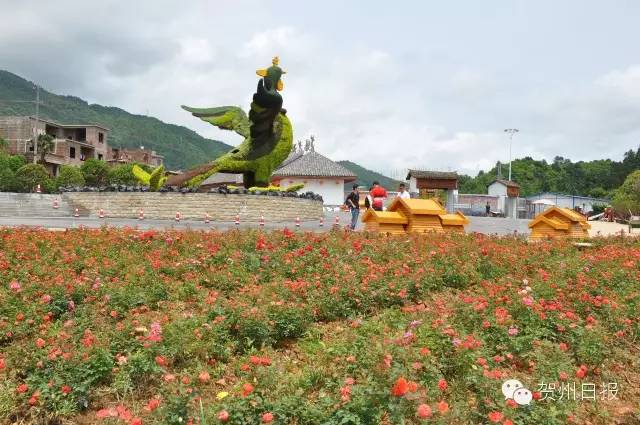 腾飞的昭平！中国最美骑行县，即将诞生！