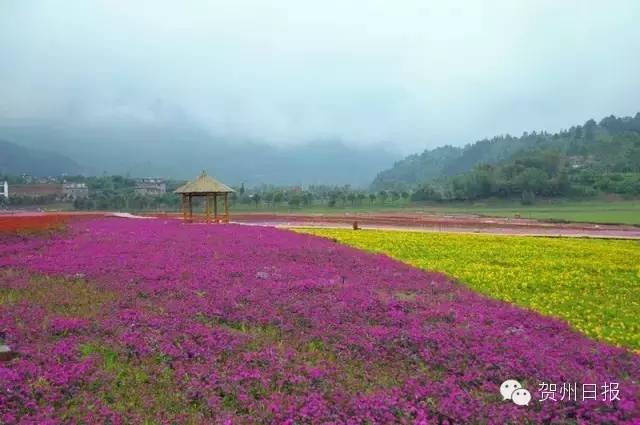 腾飞的昭平！中国最美骑行县，即将诞生！