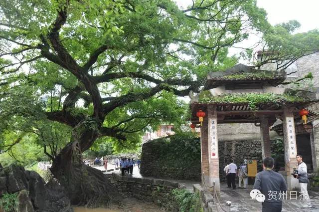 腾飞的昭平！中国最美骑行县，即将诞生！