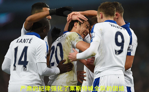 野百合也会有春天翻唱,野百合也有春天结局