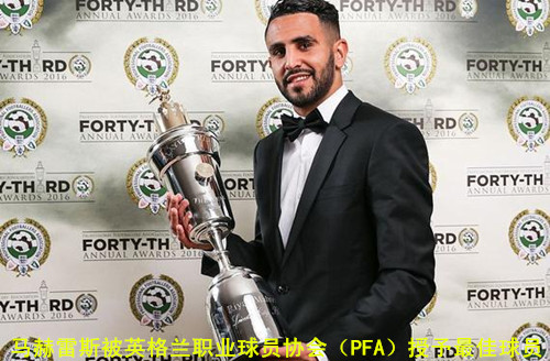 野百合也会有春天翻唱,野百合也有春天结局