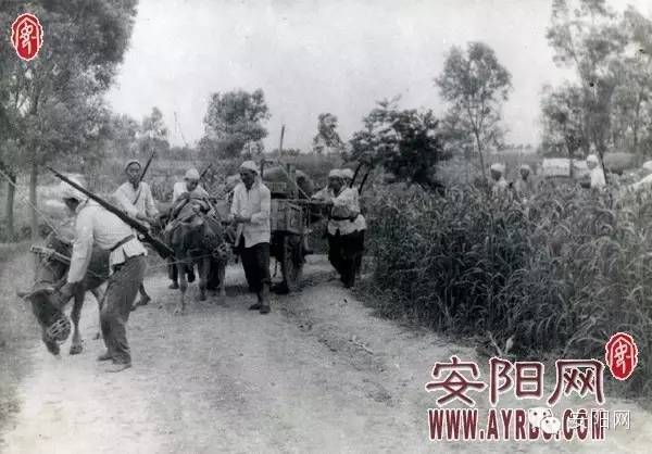 记忆|“钢笔用金星香烟吸*钟金**“：从解放区走出来的安阳*钟金**烟厂