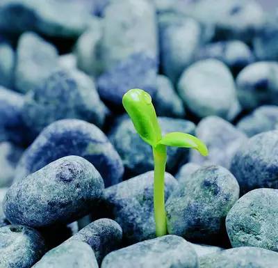 鏍″洯鏂囨槑缇庢枃,鍙ゅ煄鍜搁槼缇庢枃