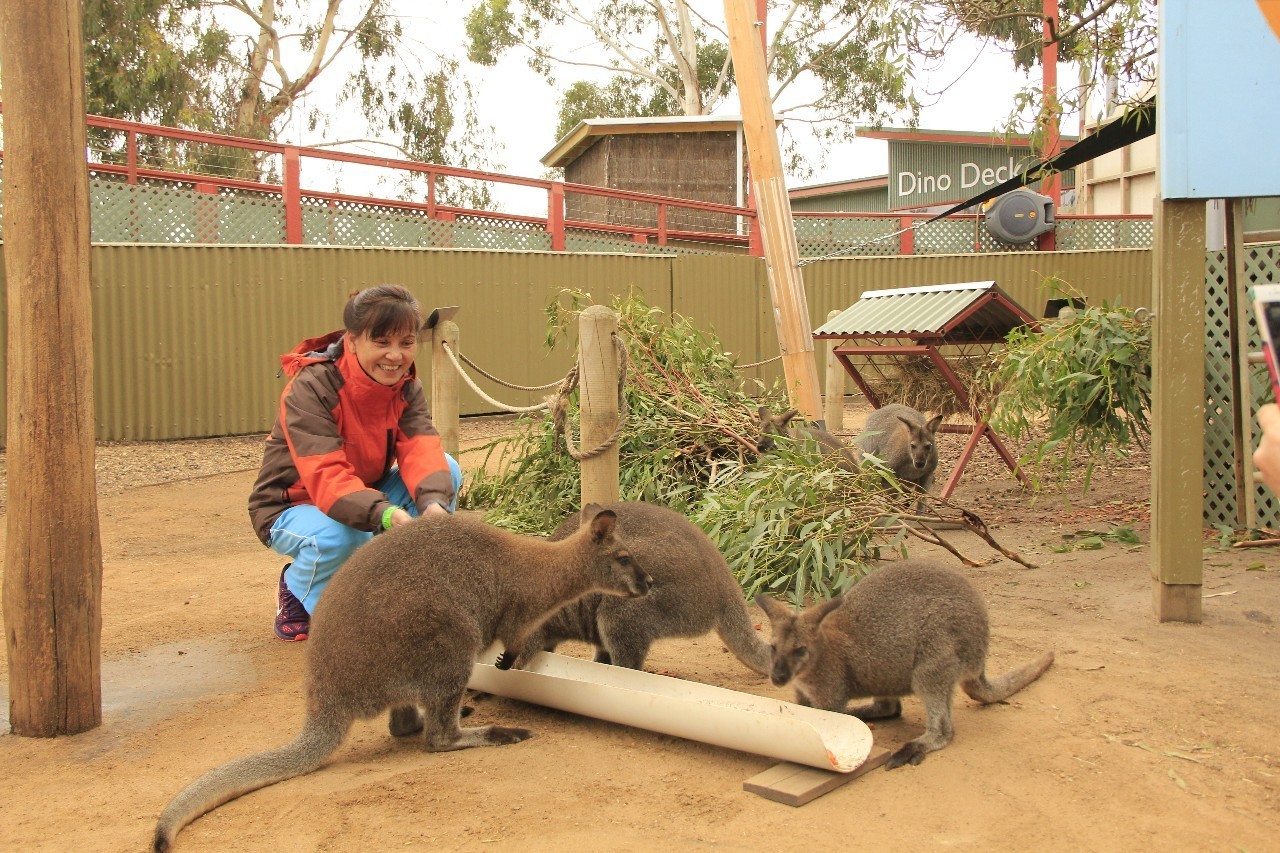 为什么千万不要带父母去旅行,别让父母独自出行