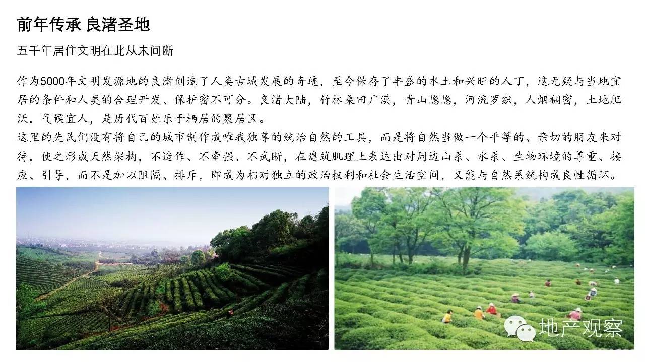 万科良渚文化村,地产观察笔记