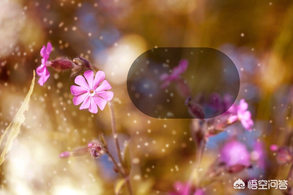 给照片加图框的app,安卓手机怎么给照片加边框