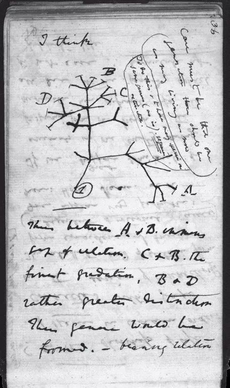 此书太精彩!把科学传记写出了推理小说的感觉丨读书者说