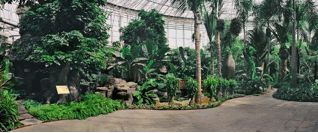 周末看花一日游,周末去哪玩一花一草一世界