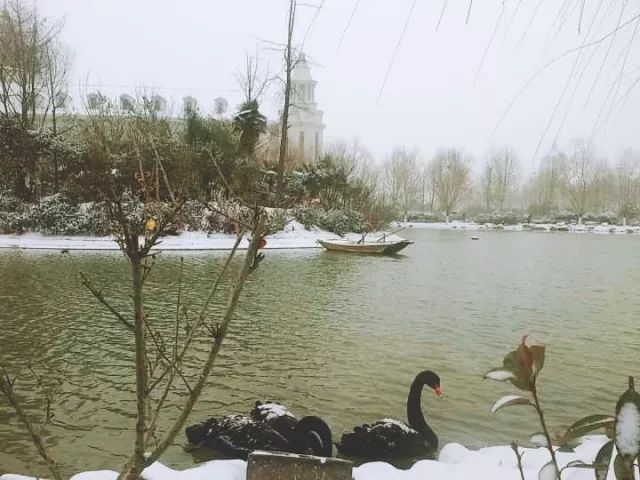 农大校景图片,农大开学通知